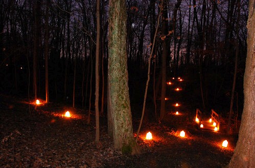 Luminary Walk